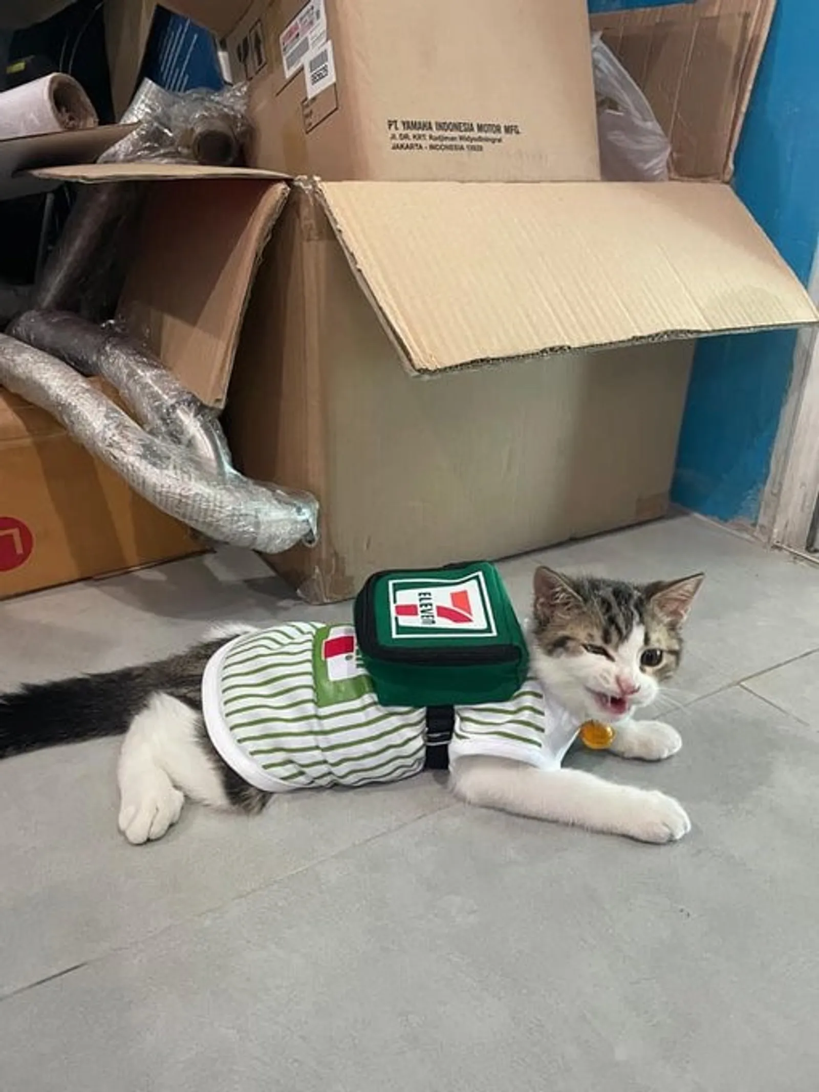 11+ Potret Kucing yang Akhirnya Mau Bekerja Ketimbang Tiada Gunanya