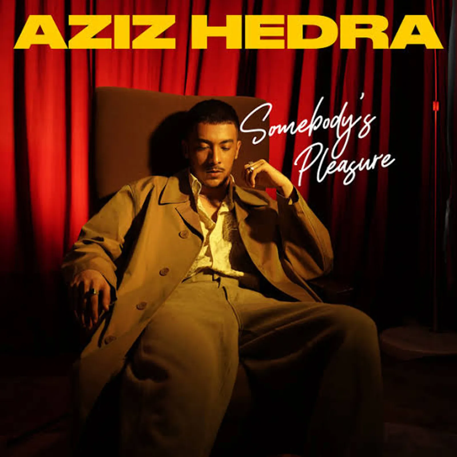 Lirik Lagu "Somebody’s Pleasure" - Aziz Hedra yang Viral di Sosmed 