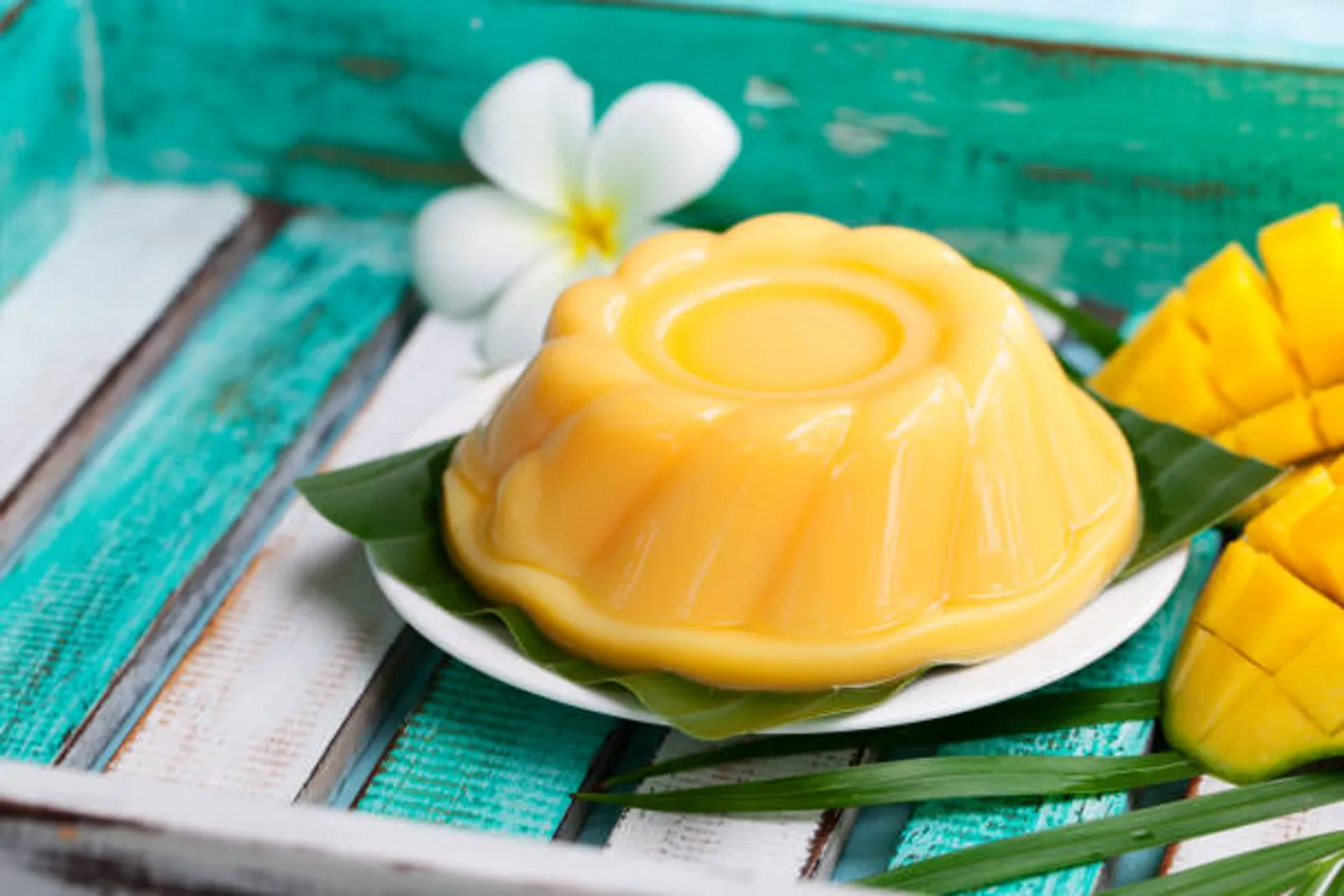 Cara Mudah Membuat Puding Mangga, Dijamin Enak!