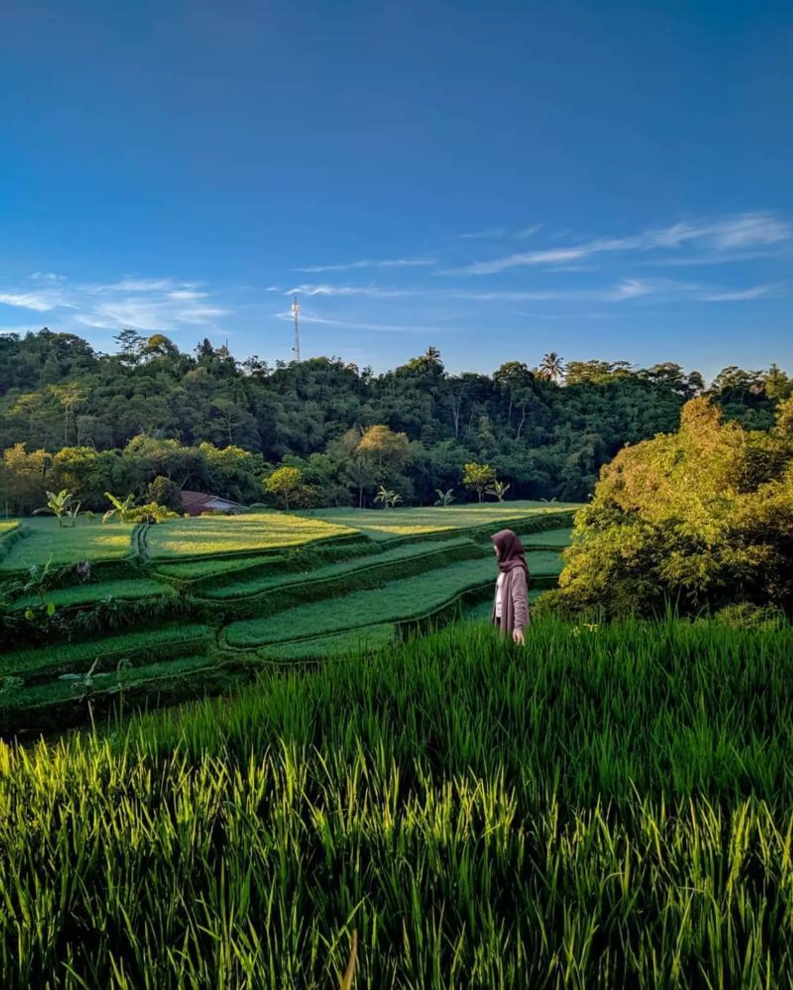 8 Rekomendasi Tempat Wisata di Sukabumi, Bertabur Alam yang Menawan