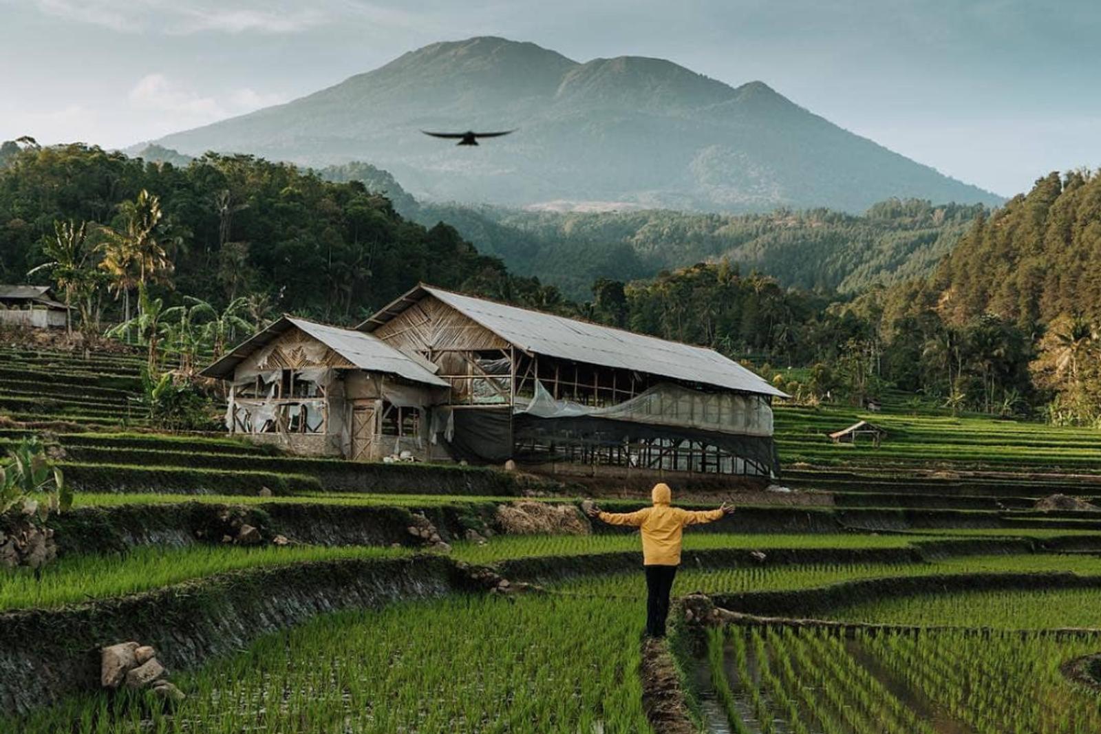 9 Tempat Wisata Mojokerto Terbaru 2023 Paling Populer