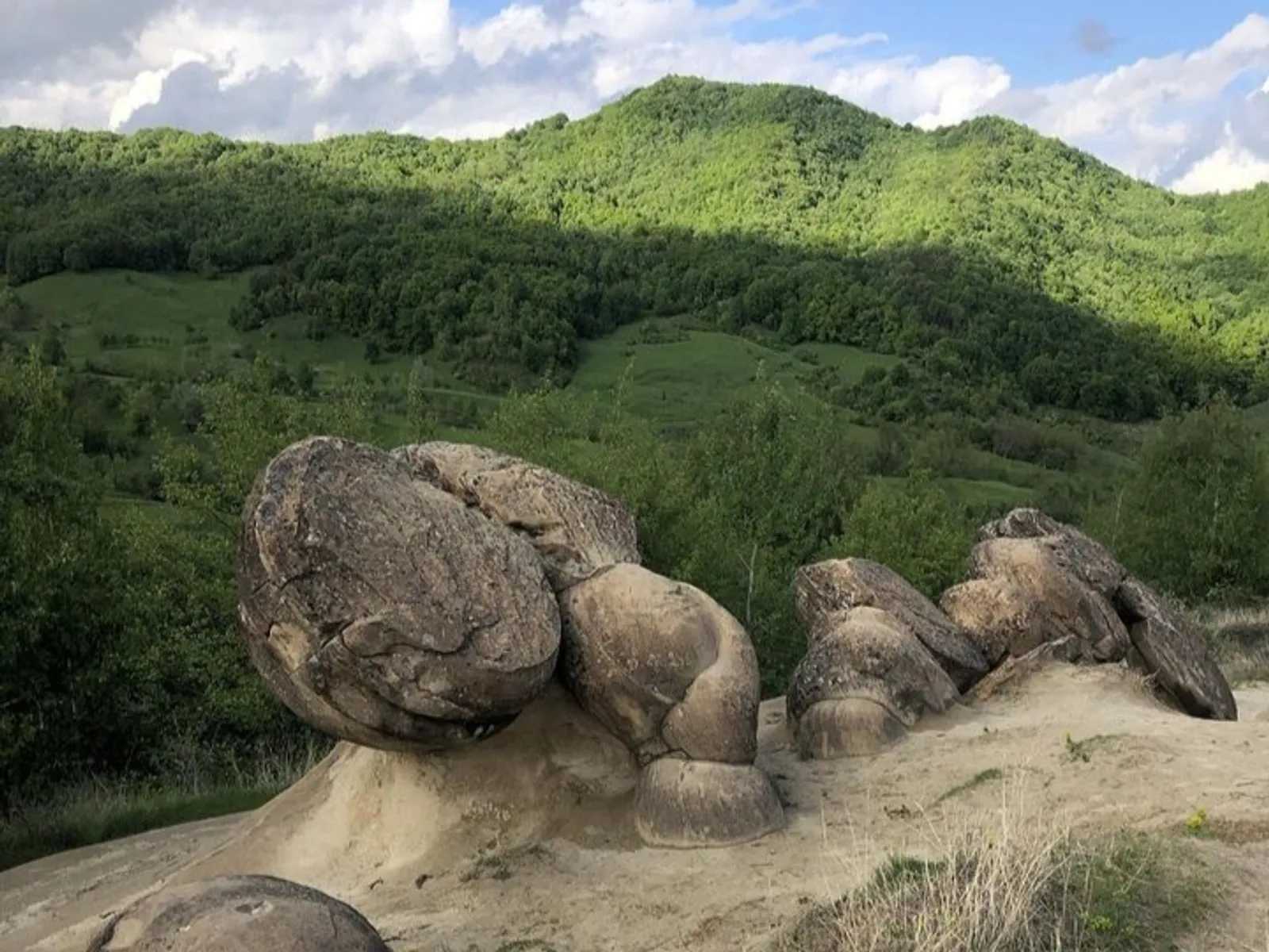 6 Fakta Trovant, Batu yang Tumbuh Misterius di Rumania
