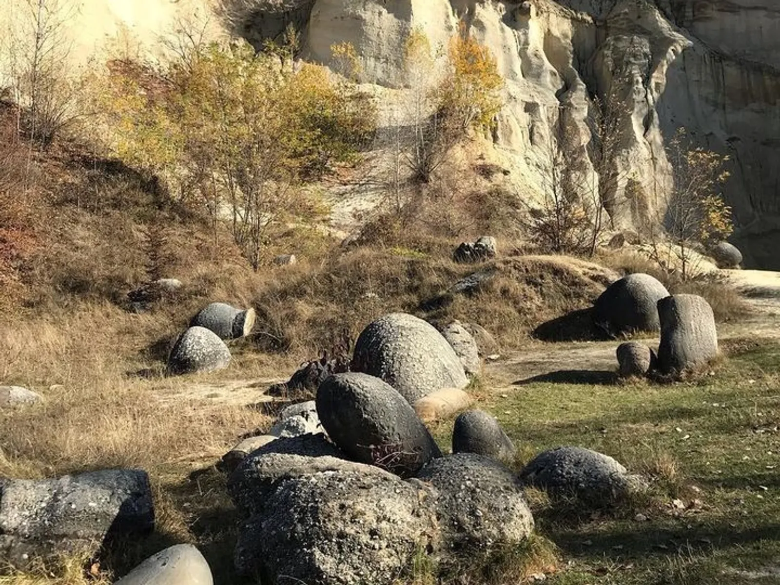 6 Fakta Trovant, Batu yang Tumbuh Misterius di Rumania