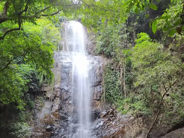 8 Wisata Alam Situbondo, Lengkap dengan Pemandangan Ciamik