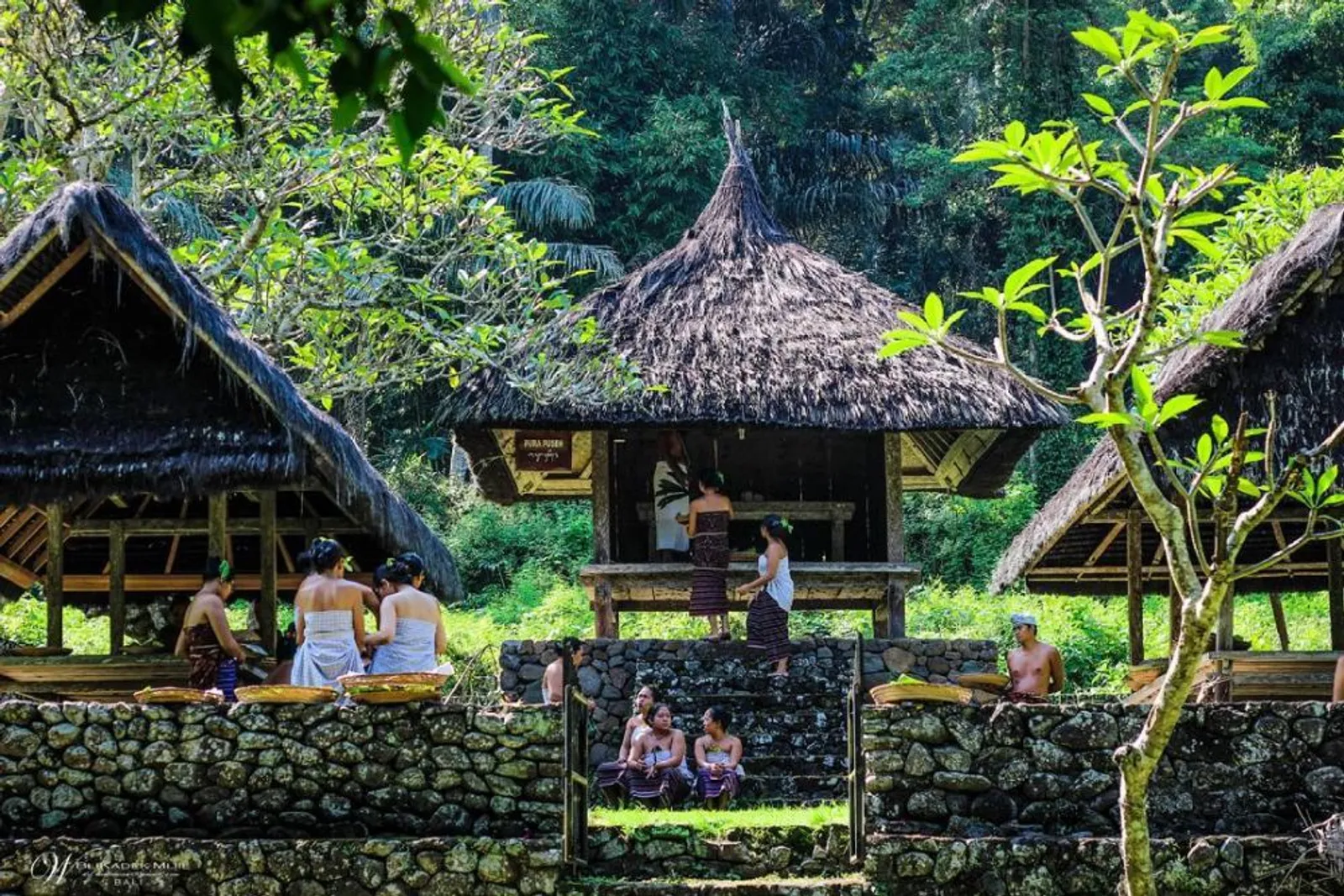 5 Rekomendasi Desa Wisata di Bali, Belajar Adat dan Budaya