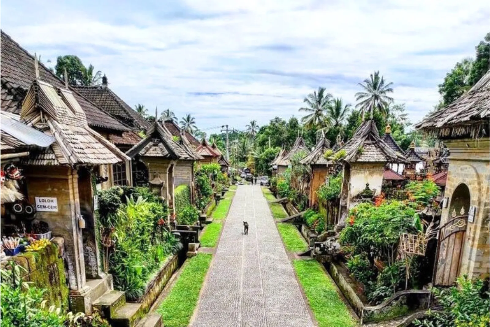 5 Rekomendasi Desa Wisata di Bali, Belajar Adat dan Budaya