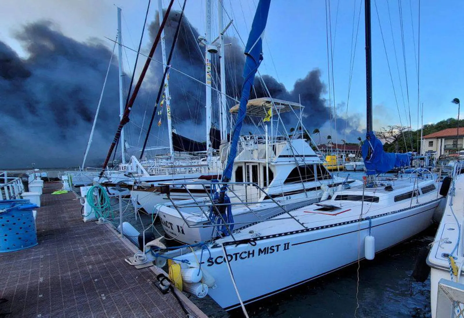 Tragedi dan Foto Kebakaran Hutan di Maui, Hawaii Bak Kiamat!