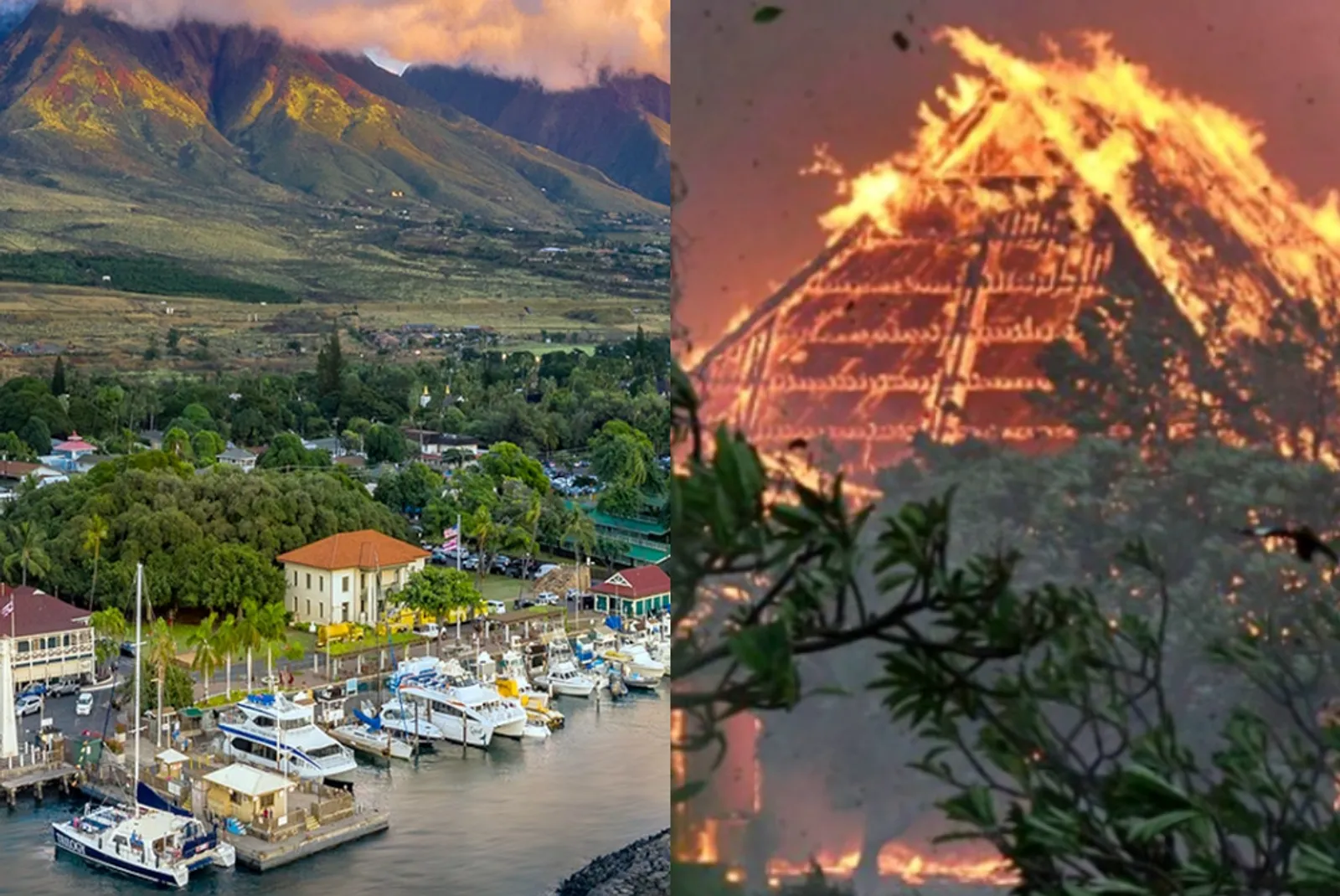 12 Potret Perbandingan Kota Lahaina di Hawaii Pasca Kebakaran Hutan