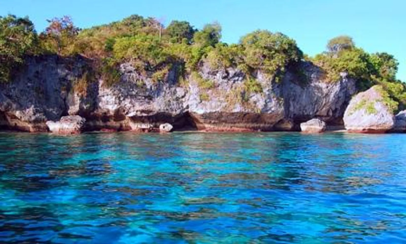 10 Pulau yang Terinspirasi dari Nama Hewan di Indonesia, Apa Saja?