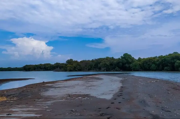 10 Destinasi Wisata di Subang, Jelajah Alam yang Seru