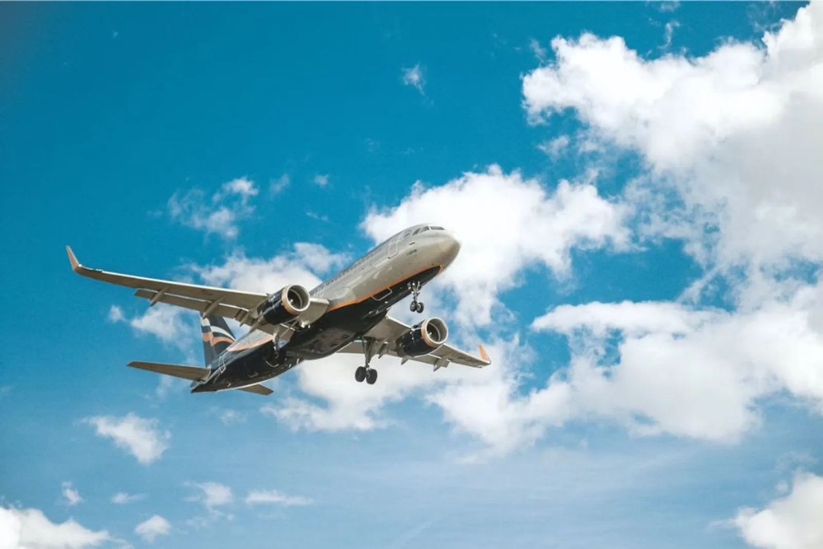 Baru! Corendon Airlines Akan Luncurkan Zona Child-Free
