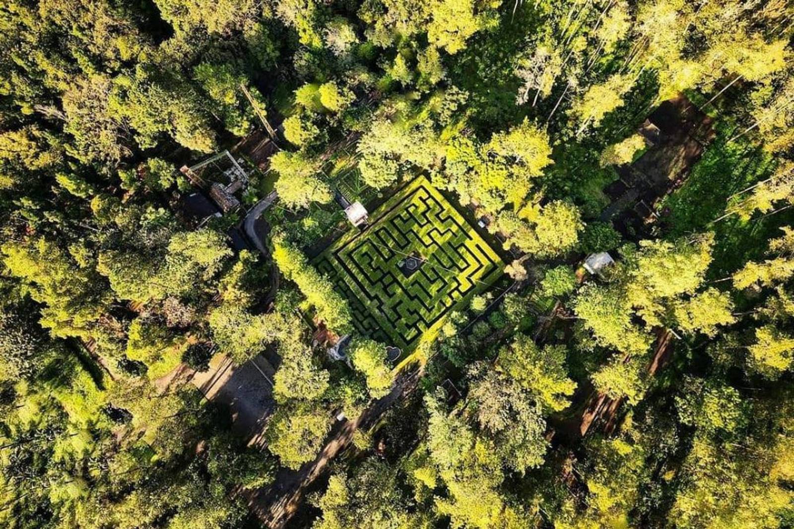 Coban Rondo Malang: Daya Tarik, Harga Tiket, dan Lokasi