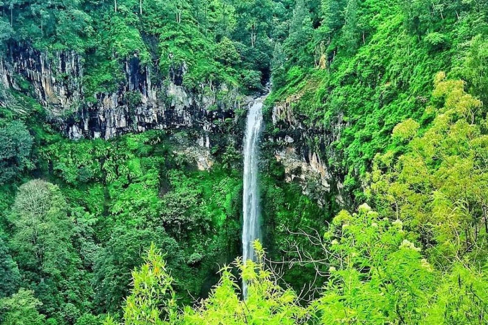 Coban Rondo Malang: Daya Tarik, Harga Tiket, dan Lokasi