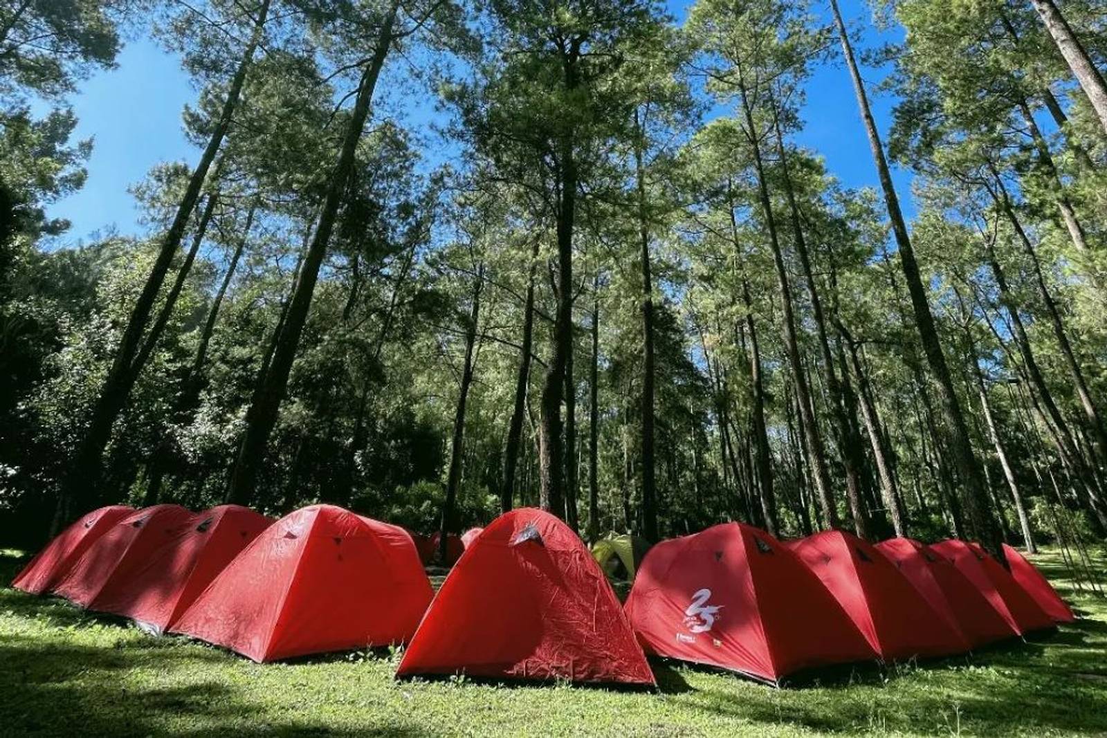 Coban Rondo Malang: Daya Tarik, Harga Tiket, dan Lokasi