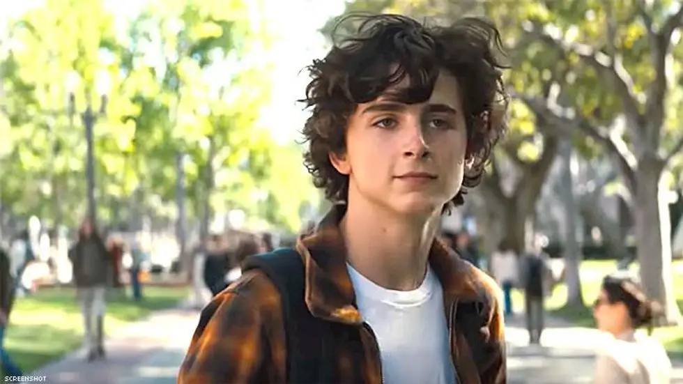 8+ Film Terbaik yang Pernah Diperankan Timothée Chalamet