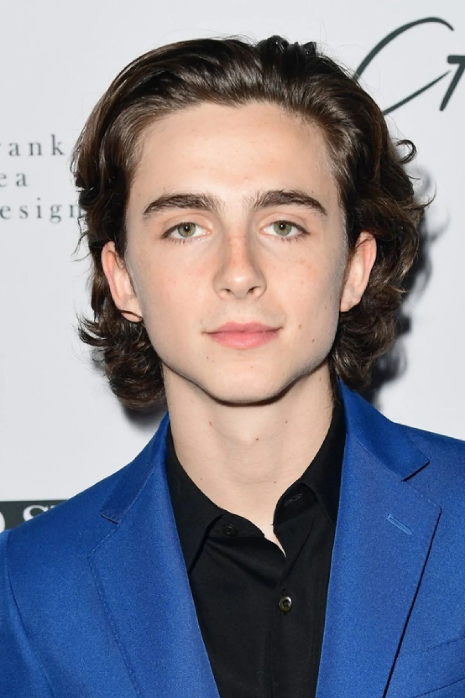 Pesona Timothee Chalamet yang Tiada Duanya 