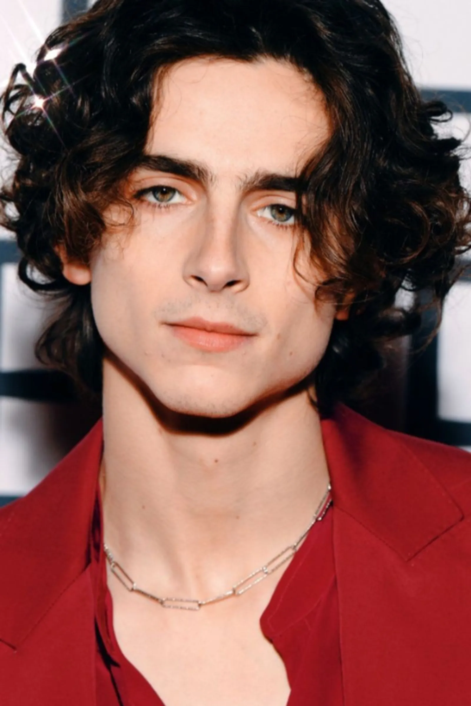 Pesona Timothee Chalamet yang Tiada Duanya 