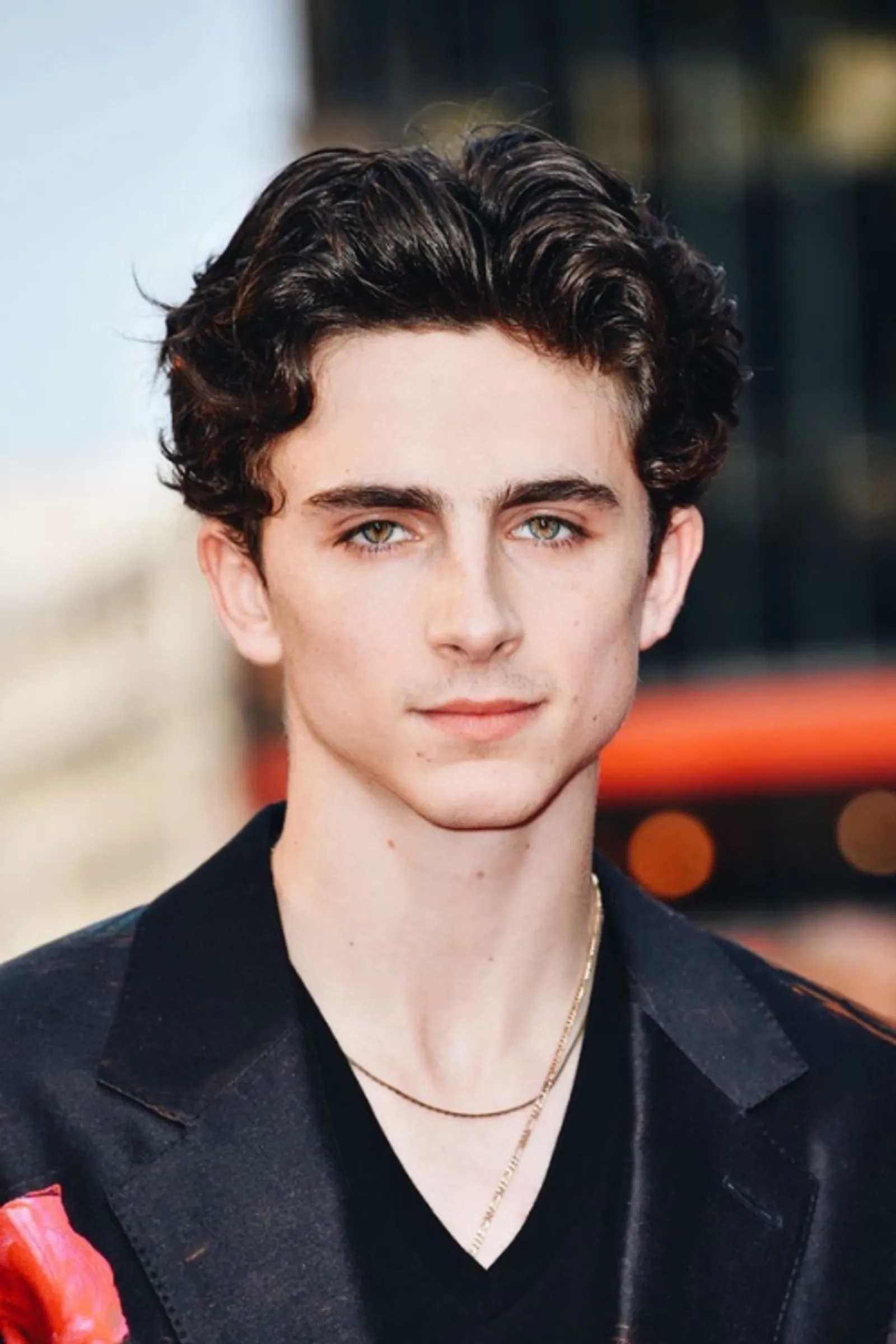 Pesona Timothee Chalamet yang Tiada Duanya 