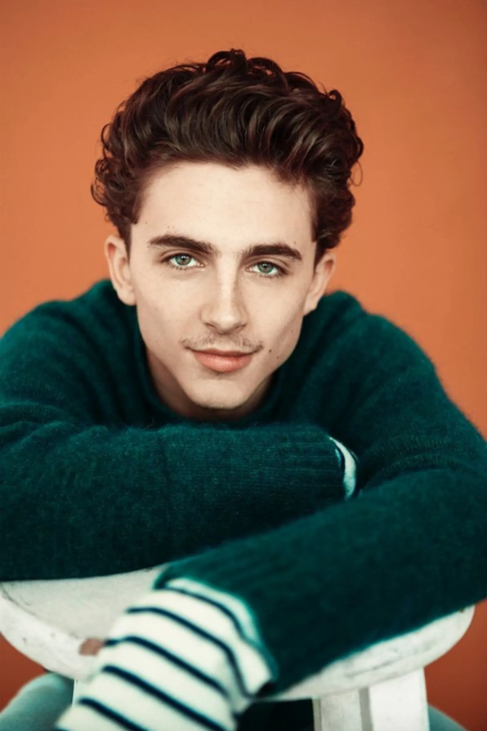 Pesona Timothee Chalamet yang Tiada Duanya 