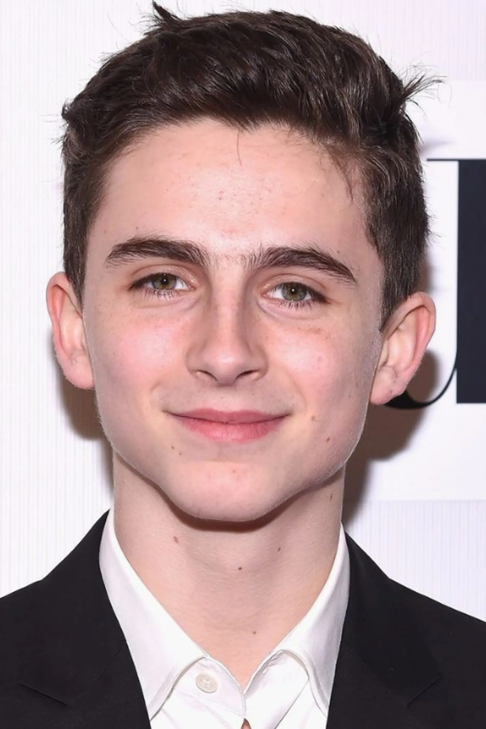 Pesona Timothee Chalamet yang Tiada Duanya 