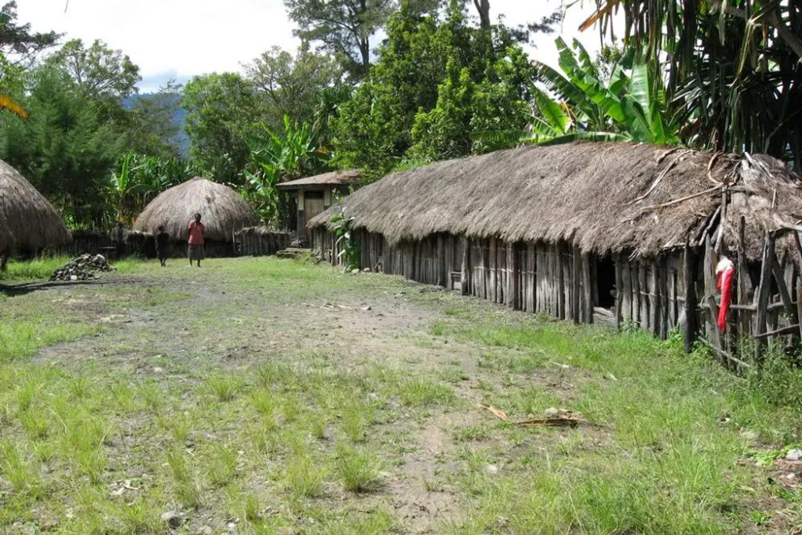 9 Macam Rumah Adat Papua, Sederhana dan Sarat Fungsi