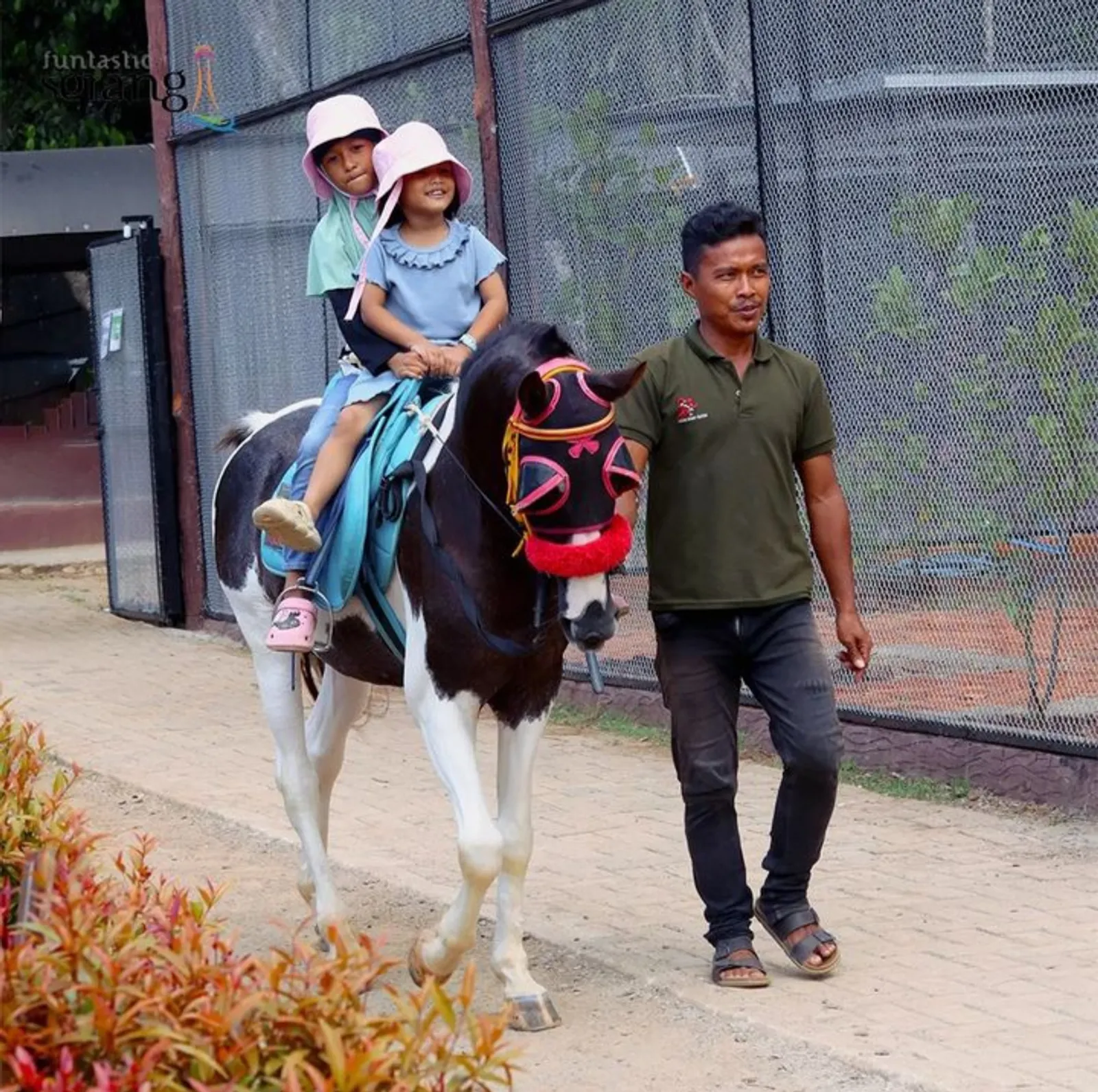 Elite Park Zoo Serang: Lokasi, Jam Buka, & Harga Tiket Masuk