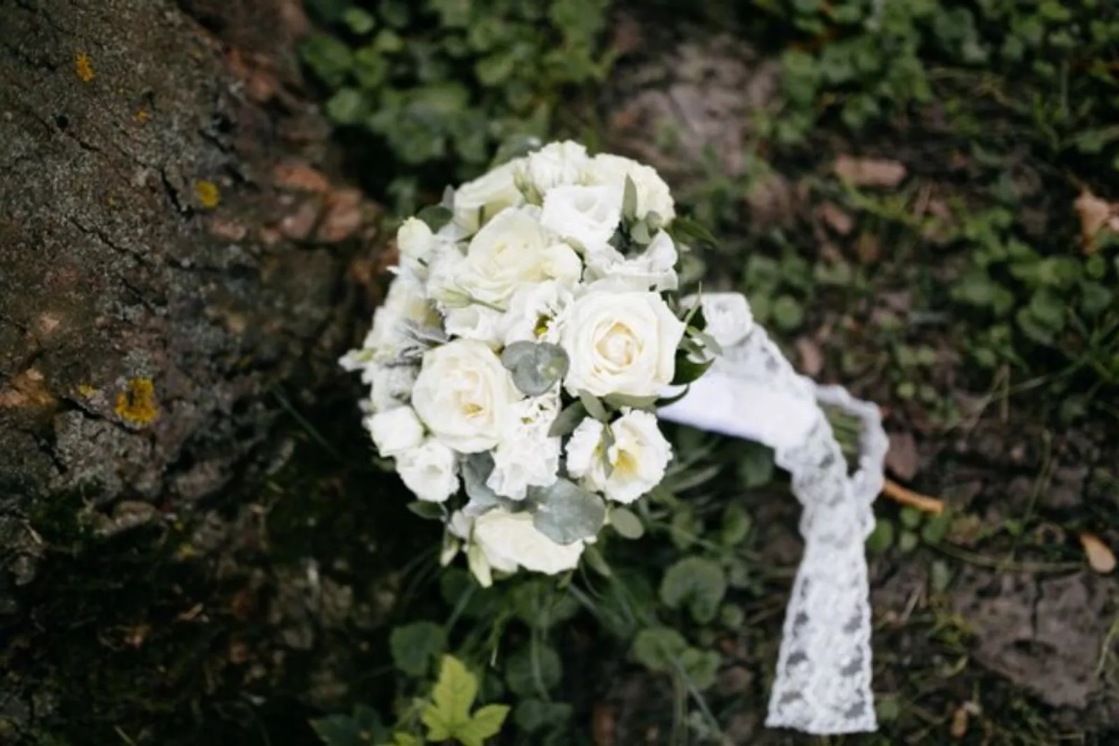 7 Arti Bunga Mawar Putih yang Tidak Banyak Orang Tahu