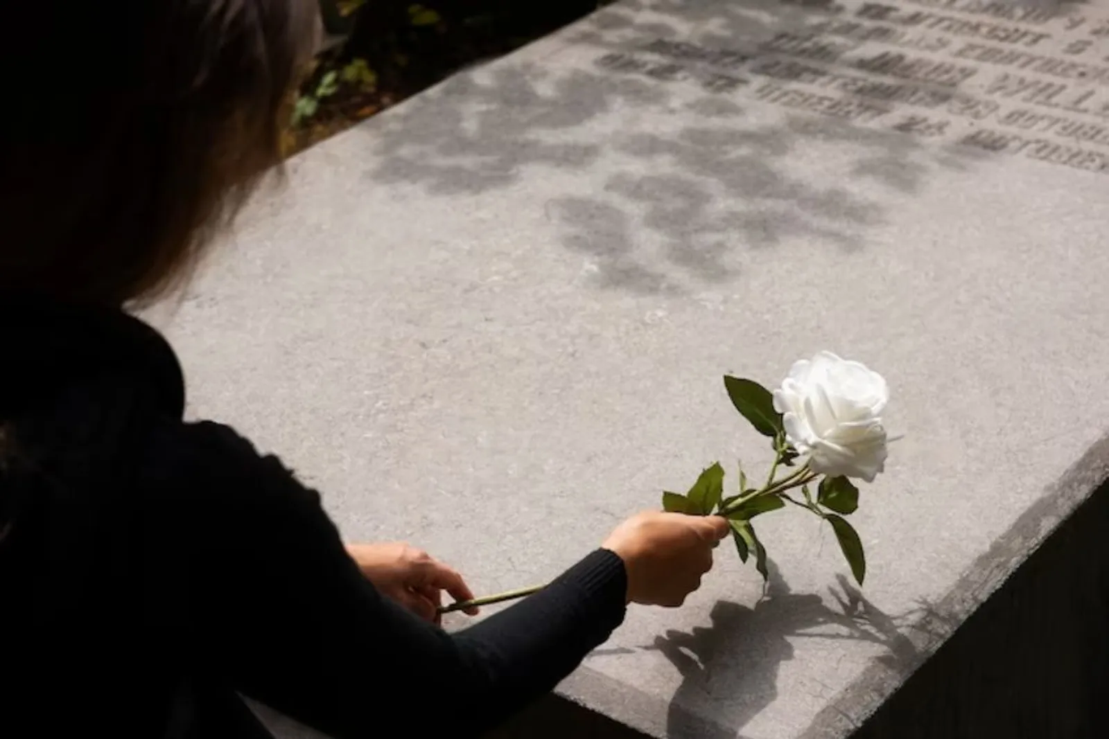 7 Arti Bunga Mawar Putih yang Tidak Banyak Orang Tahu