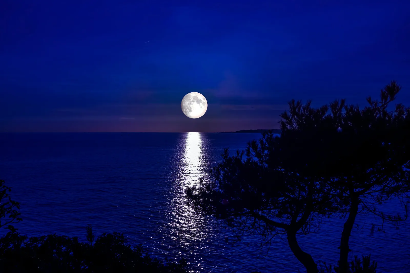 7 Arti Mimpi Bulan Purnama, Banyak Pertanda Kabar Positif