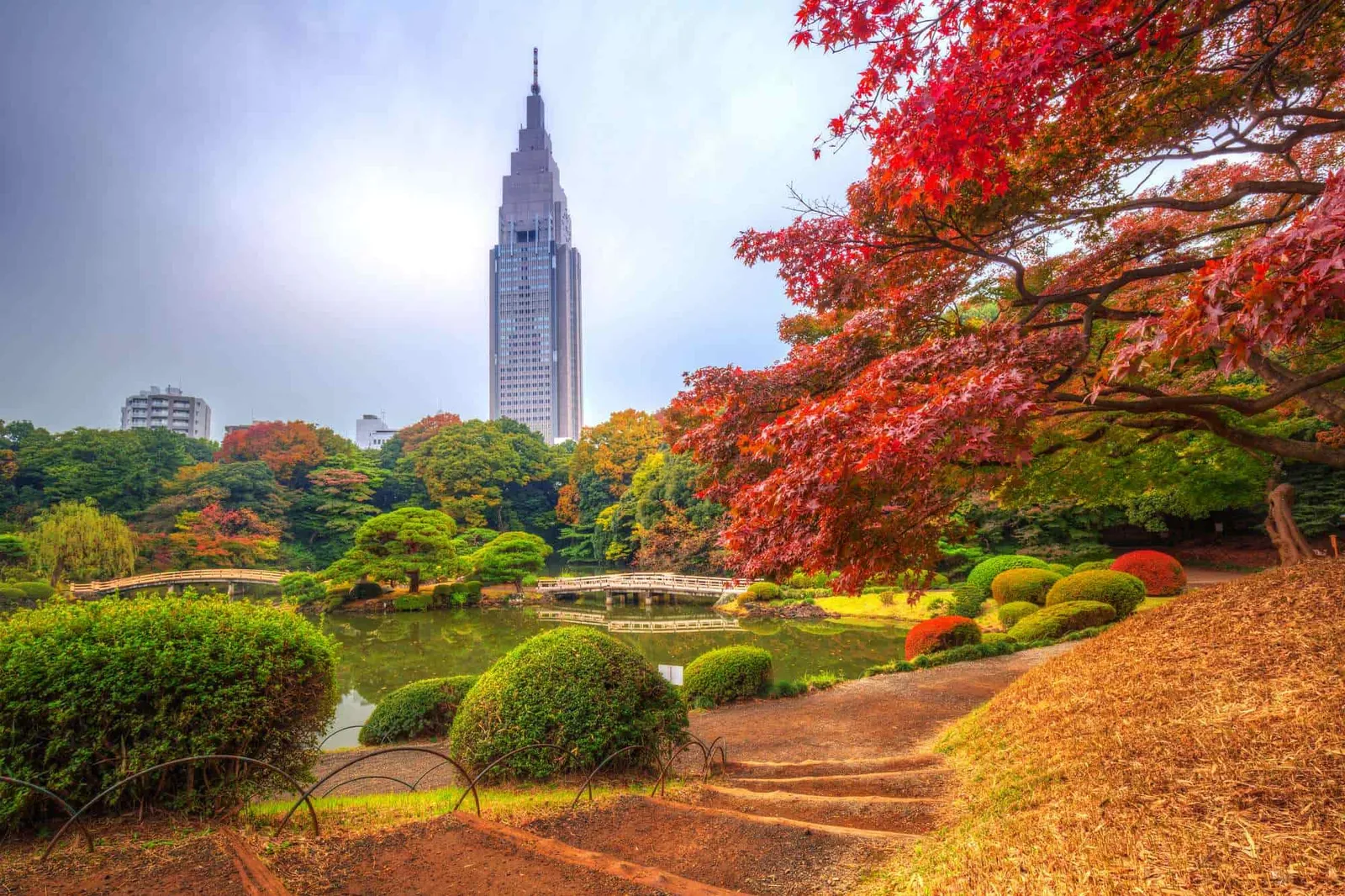 7 Rekomendasi Tempat Wisata  Alam di Tokyo, Cocok Untuk Healing