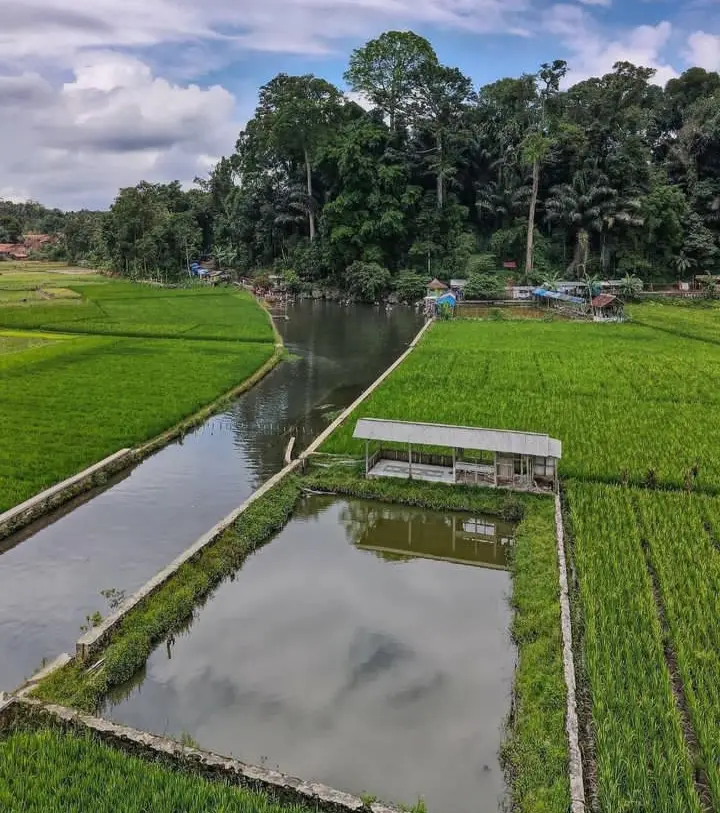 Mata Air Cikandung, Sumedang: Lokasi, Jam Buka, dan HTM