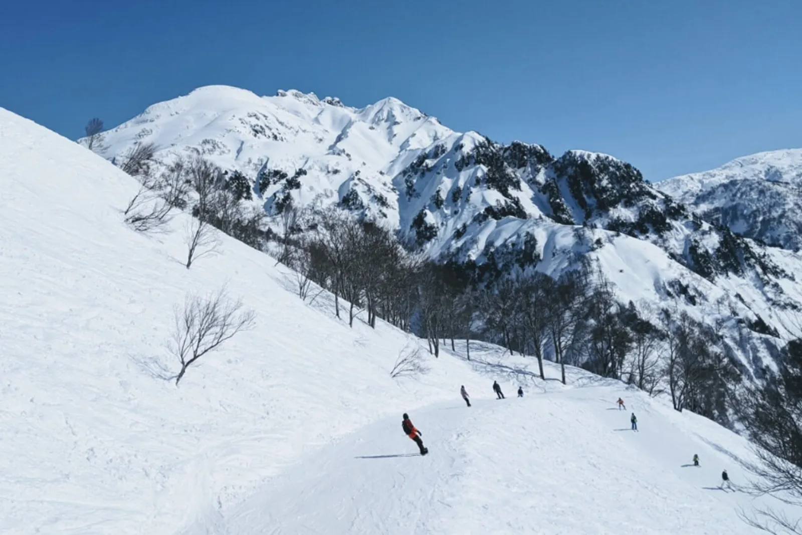Berselimutkan Salju, Ini 6 Rekomendasi Tempat Bermain Ski di Jepang