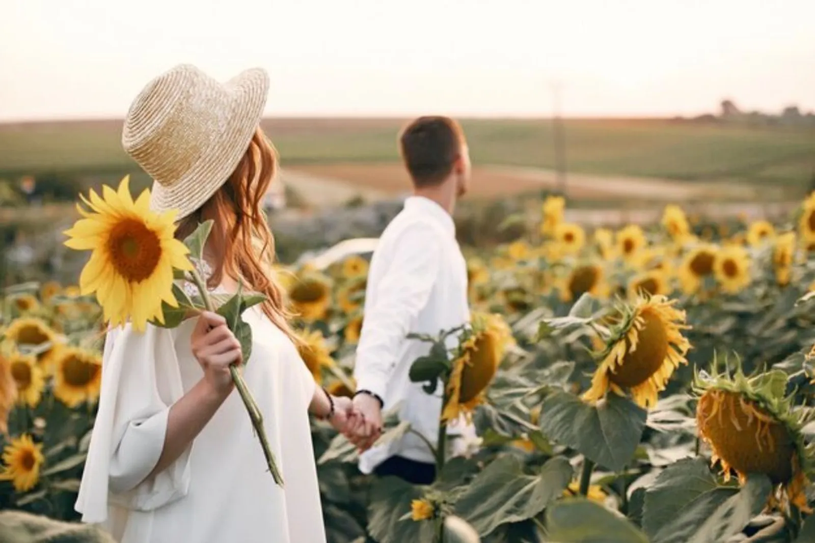 10 Arti Bunga Matahari yang Tak Banyak Orang Ketahui