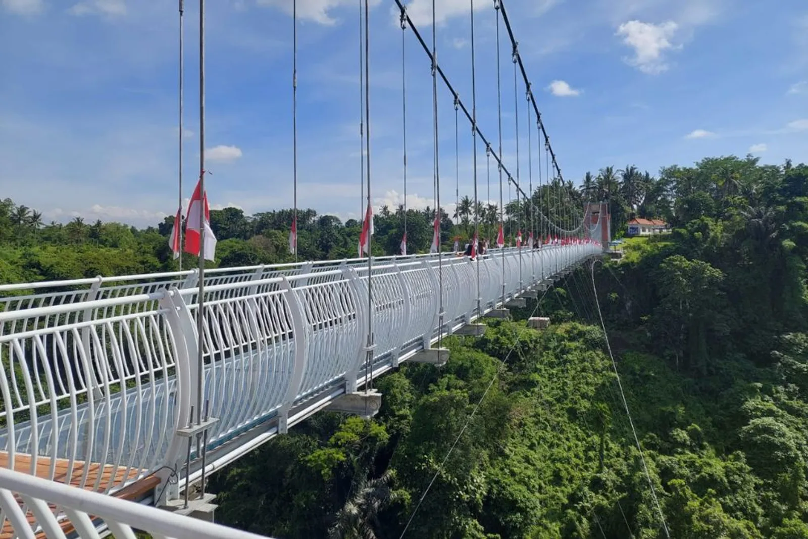 8 Tempat Wisata Jembatan Kaca di Indonesia, Sajikan Panorama Indah