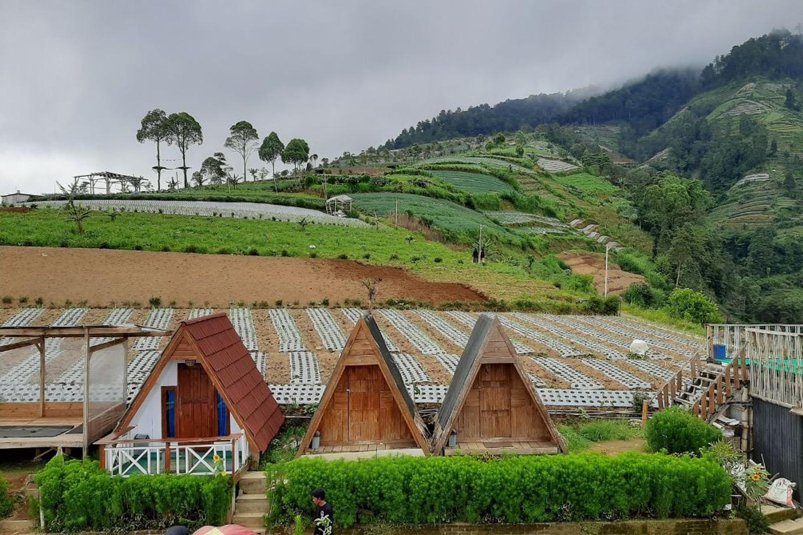 Mangli Sky View: Lokasi, Daya Tarik, Harga Tiket, dan Aktivitas Seru