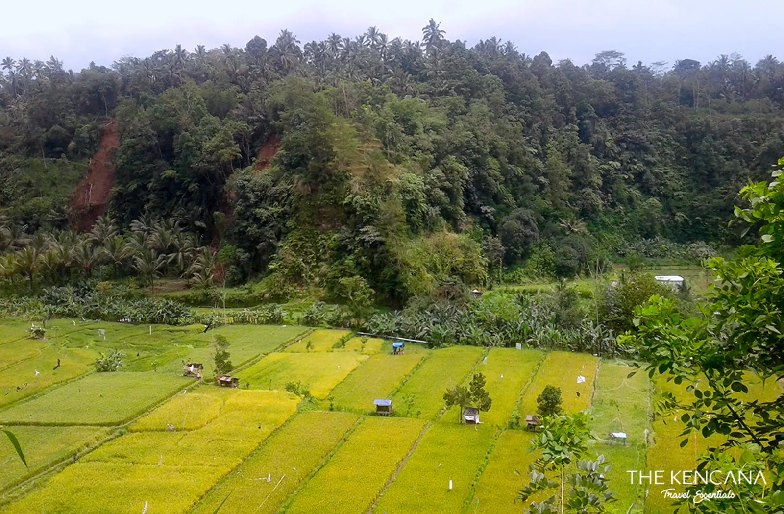 7 Lembah Tercantik di Indonesia untuk Wisata Alam