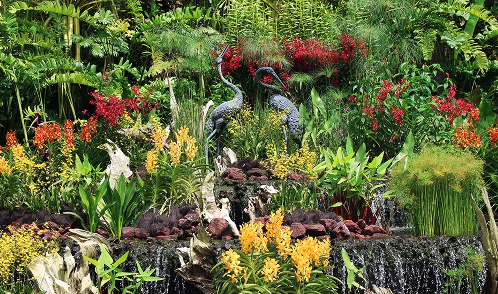Singapore Botanic Gardens, Wisata Edukasi di Taman Tropis