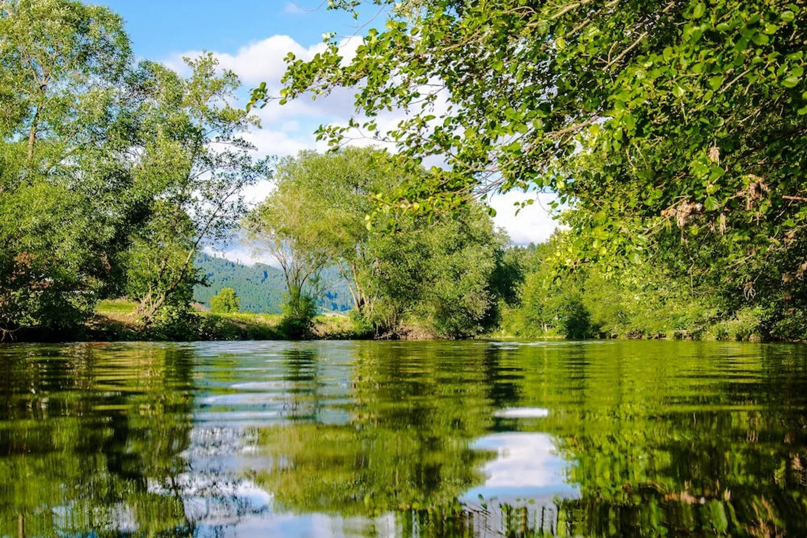 7 Arti Mimpi Terbawa Arus Sungai, Benarkah Pertanda Buruk?