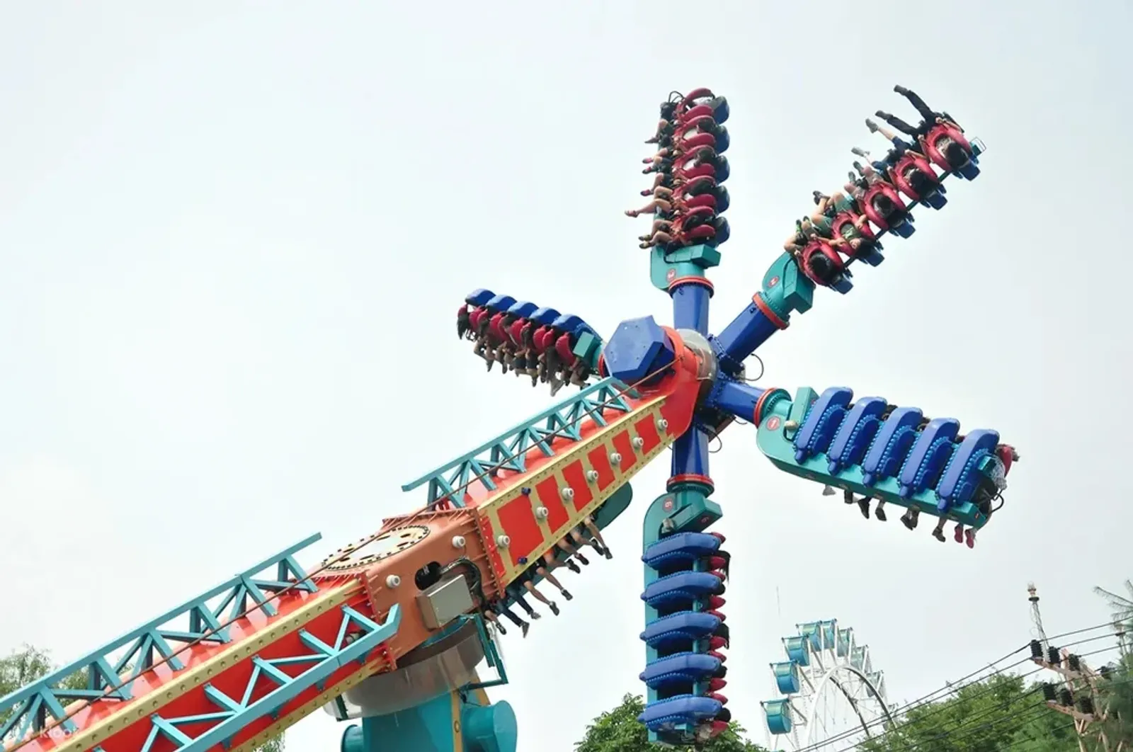 8 Wahana Seru di Everland Theme Park Korea yang Wajib Kamu Coba