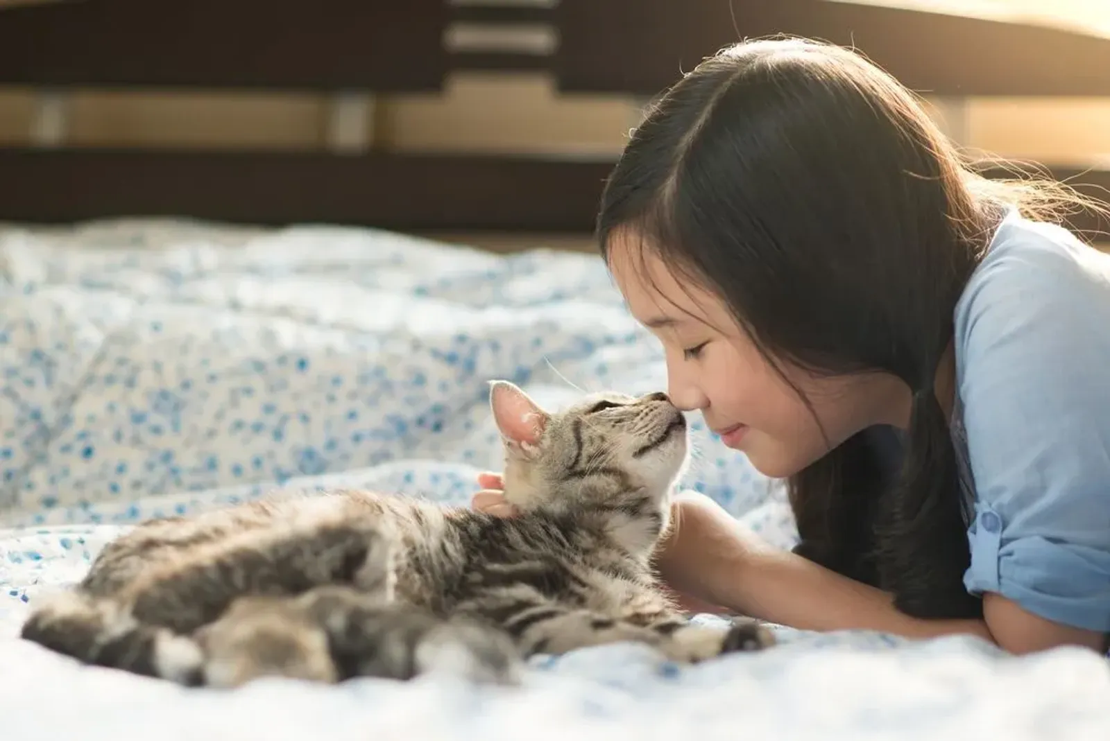 50 Nama Korea Kucing Awalan U-Z, Lucu dan Penuh Makna