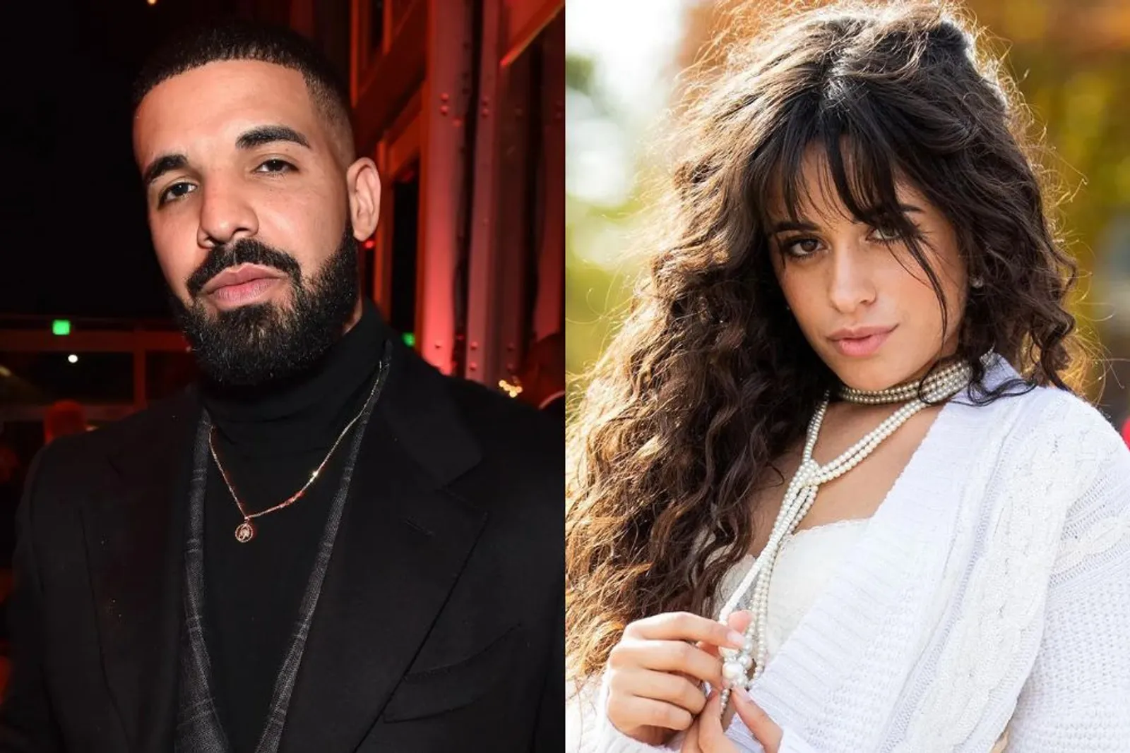 Camila Cabello dan Drake Dikabarkan Kencan, Ini 5 Faktanya!