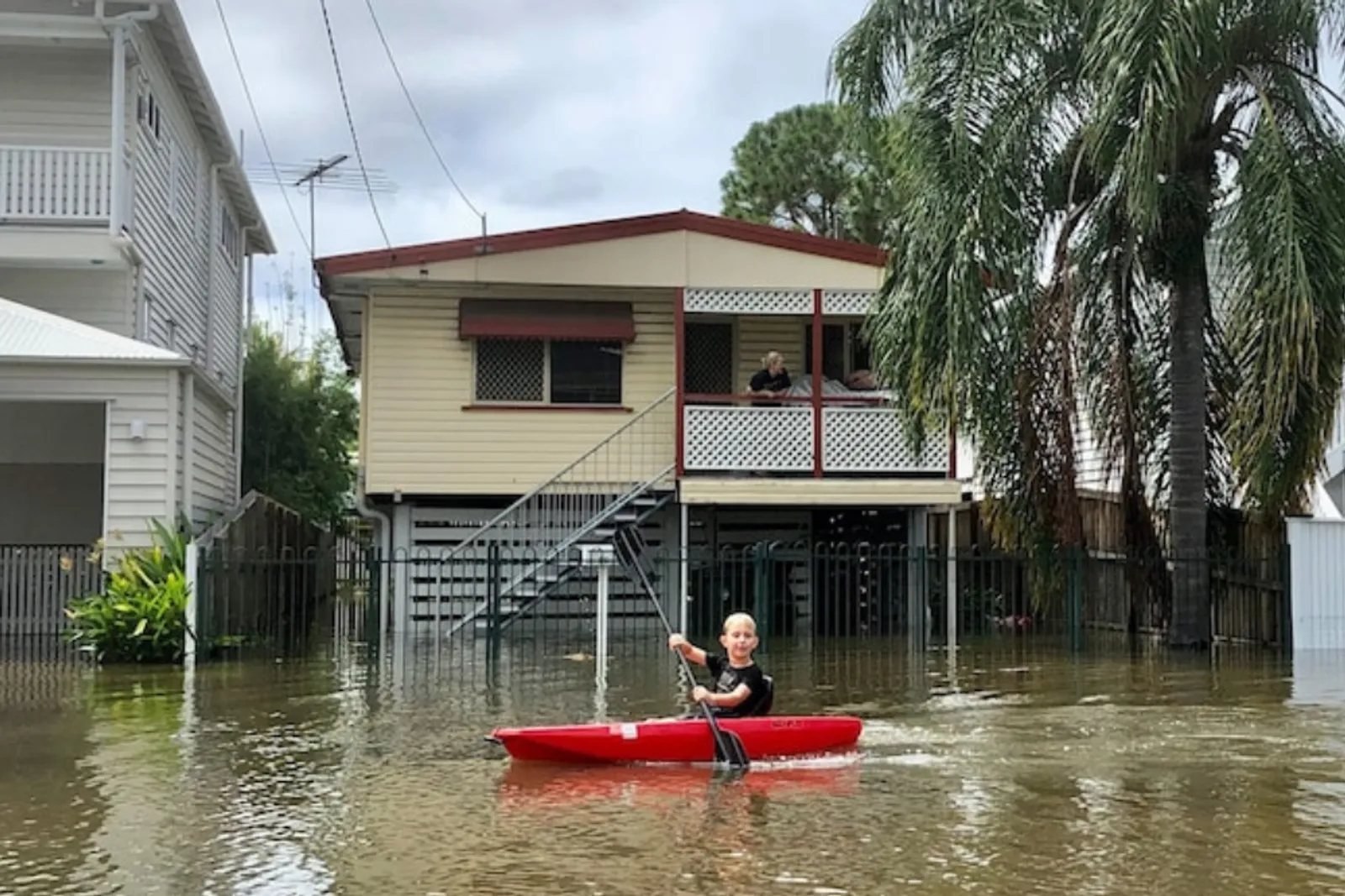 Queensland Australia Banjir, Ada Buaya Muncul di Jalanan Kota