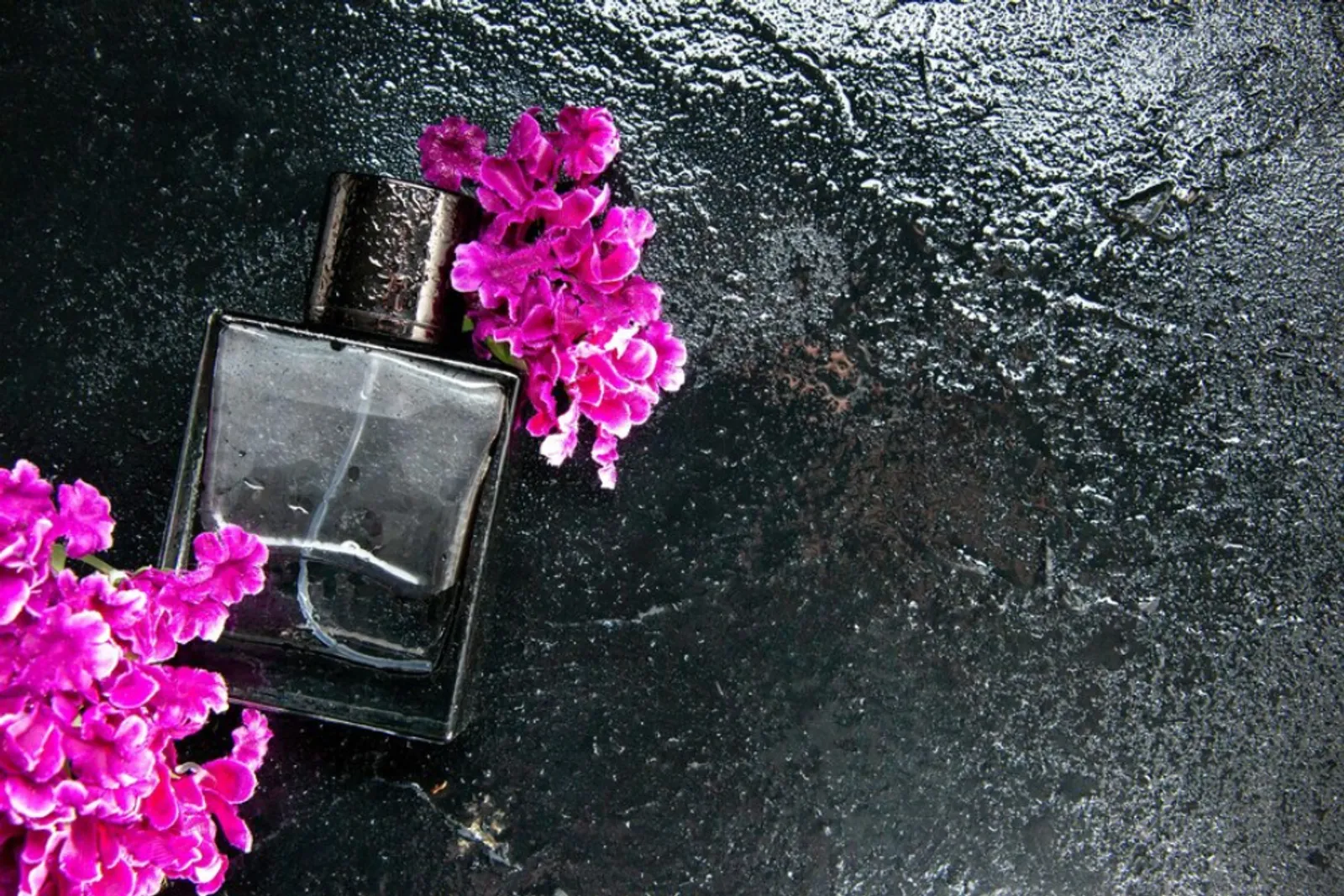5 Rekomendasi Parfum untuk Musim Hujan, Hangat dan Tahan Lama