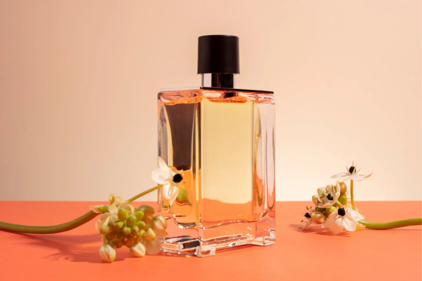 Biar Tahan Lama, Inilah Cara Memakai Parfum yang Tepat