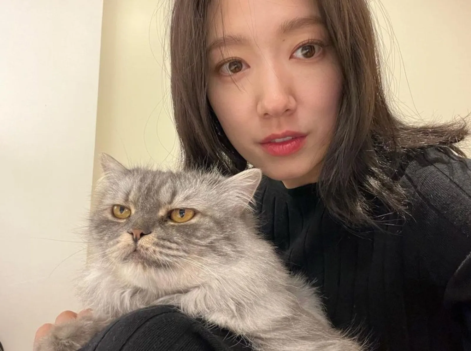Daftar Aktris Korea yang Memelihara Kucing, Adakah Idolamu Di Sini?