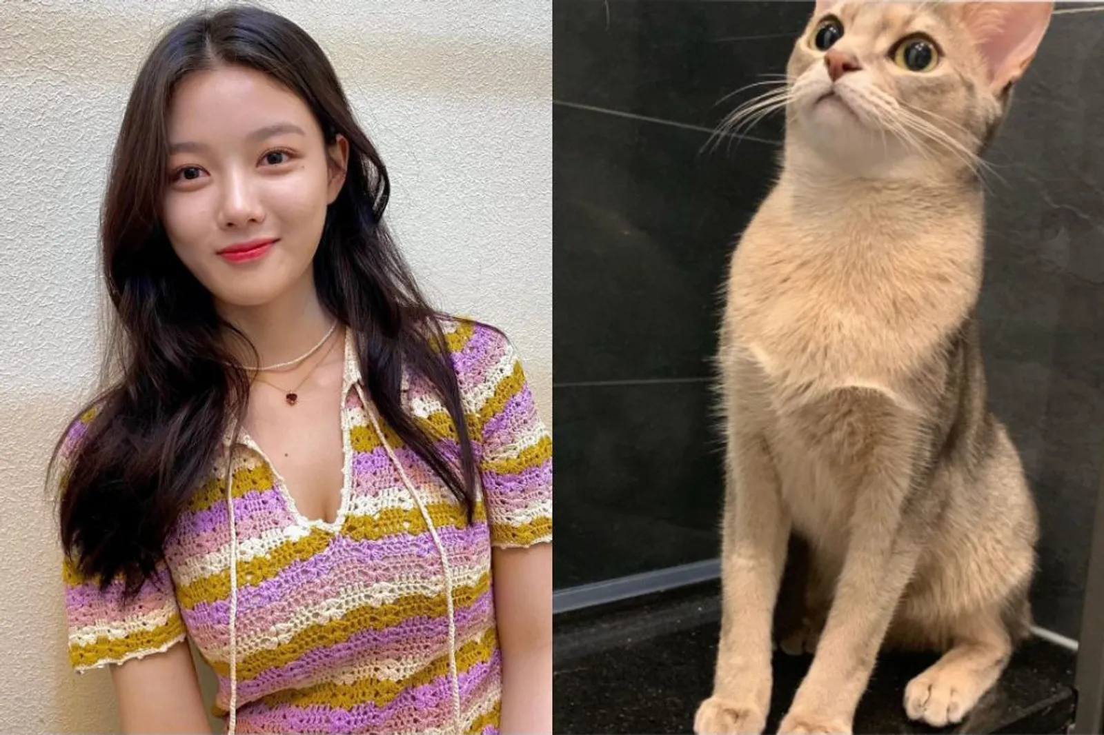Daftar Aktris Korea yang Memelihara Kucing, Adakah Idolamu Di Sini?
