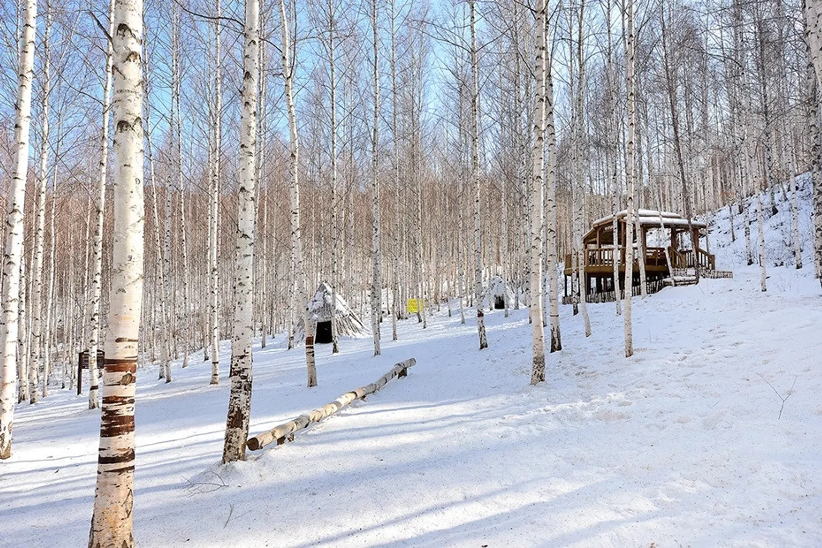 10 Tempat Wisata Musim Dingin Korea Selatan Terbaik untuk Dikunjungi