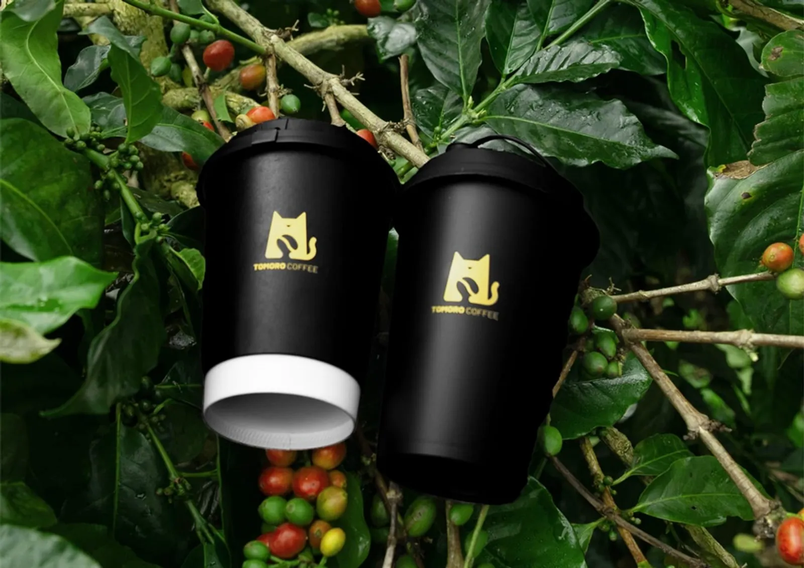 TOMORO COFFEE Bawa Biji Kopi Lokal ke Kancah Internasional 