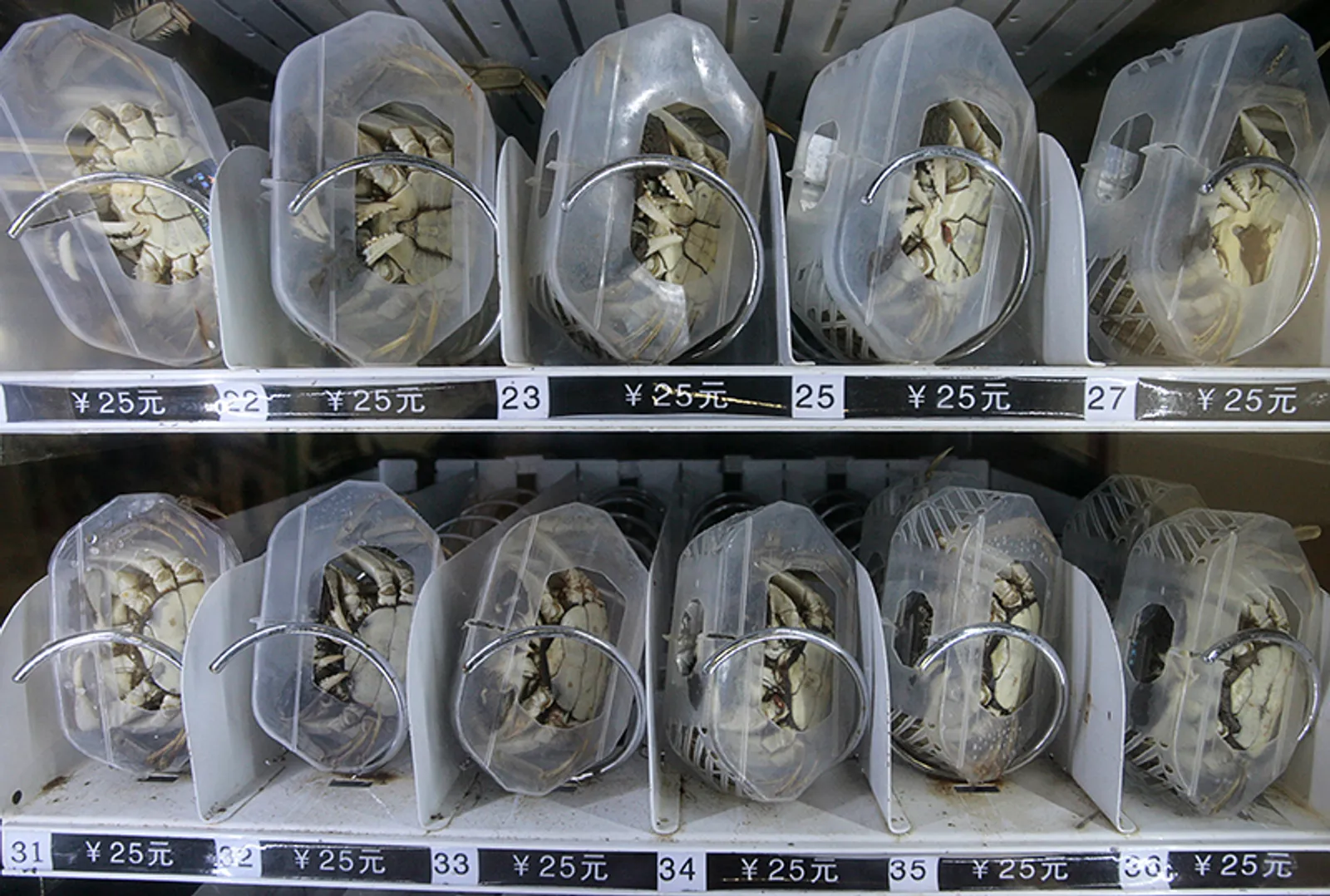 Terlalu Eksentrik, Ini Dia 15+ Vending Machine Paling Aneh di Jepang