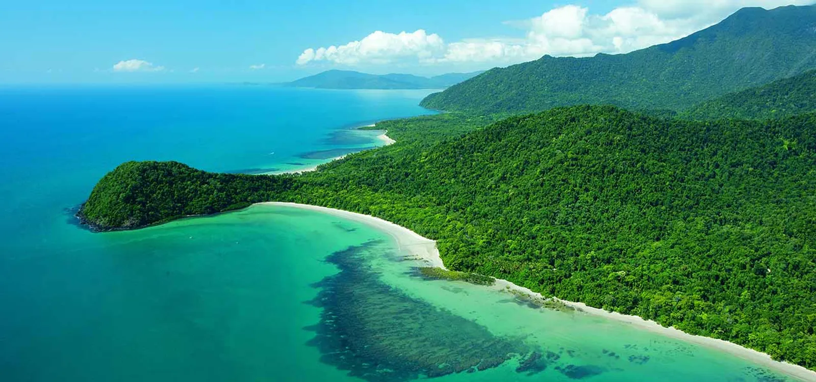 Fakta Cape Tribulation, Pantai Paling Mematikan dari Australia